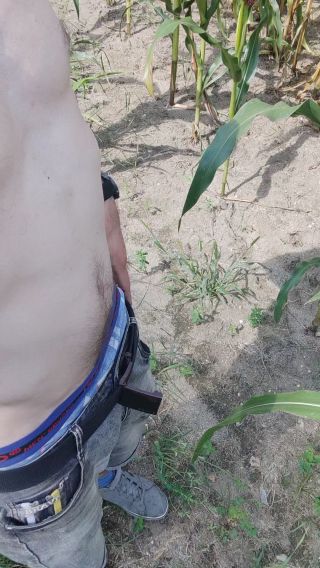 VID_20240810_104713.mp4