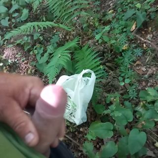 20240828_120057.mp4