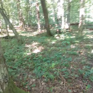 20240828_120057.mp4