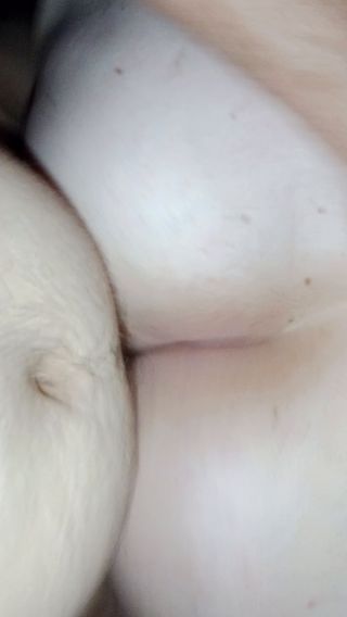 Danio9695