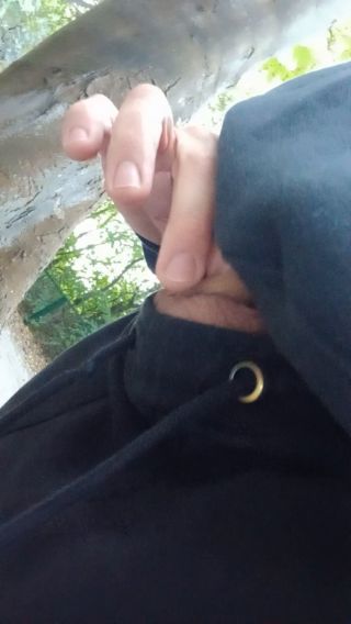 20241001_173246.mp4