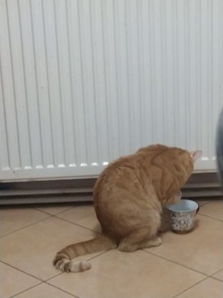 VID_20241104_195641.mp4