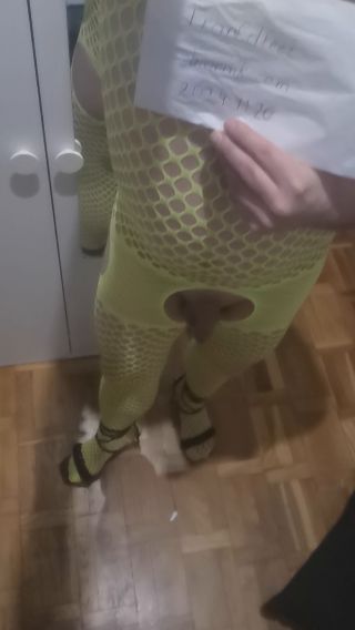 TranCdfeet