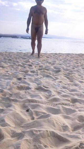 VID_20241125_215200.mp4