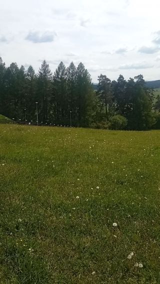 MegaRizzlerzy69PL