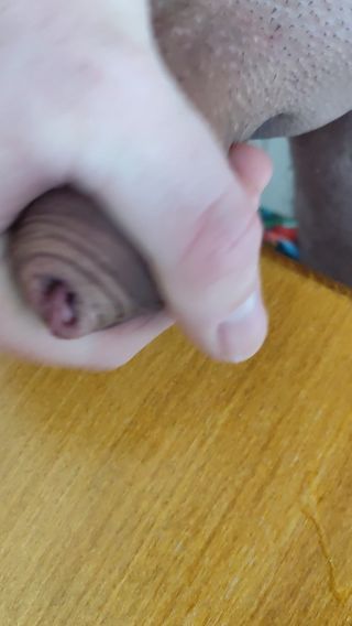 VID_20250225_124050.mp4
