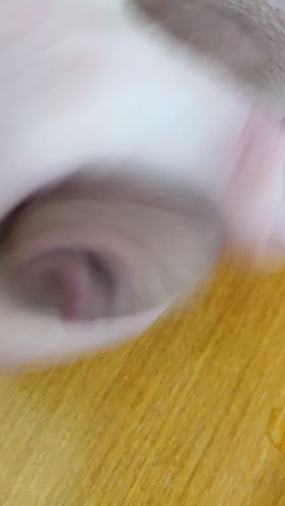 VID_20250225_124050.mp4