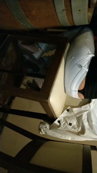 024(1).mp4