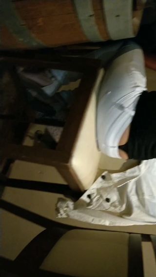 024(1).mp4