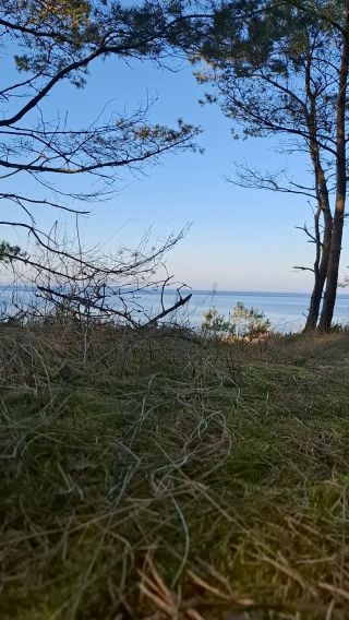 Karolinekcd