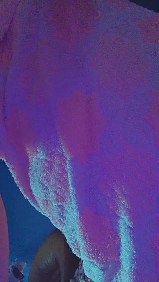 Snapchat-1269989517.mp4