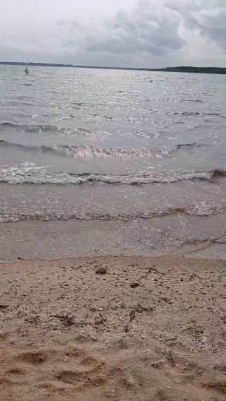 VID20250608162652.mp4