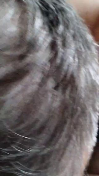 VID-20250410-WA0002(1).mp4