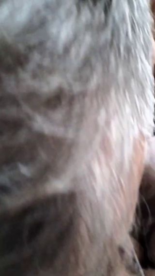 VID-20250410-WA0002(1).mp4