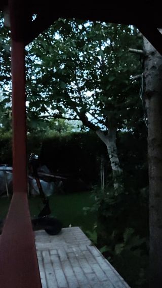 1000019108.mp4