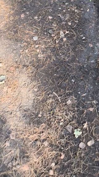 1000013124.mp4