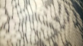 NIESMIALIPO40