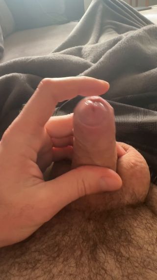 OnPLowlosiony