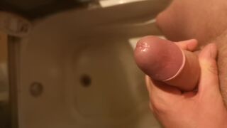 Peryt31