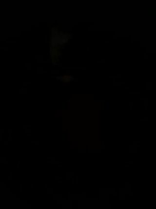 LIVE - 2026-10-07 06:27